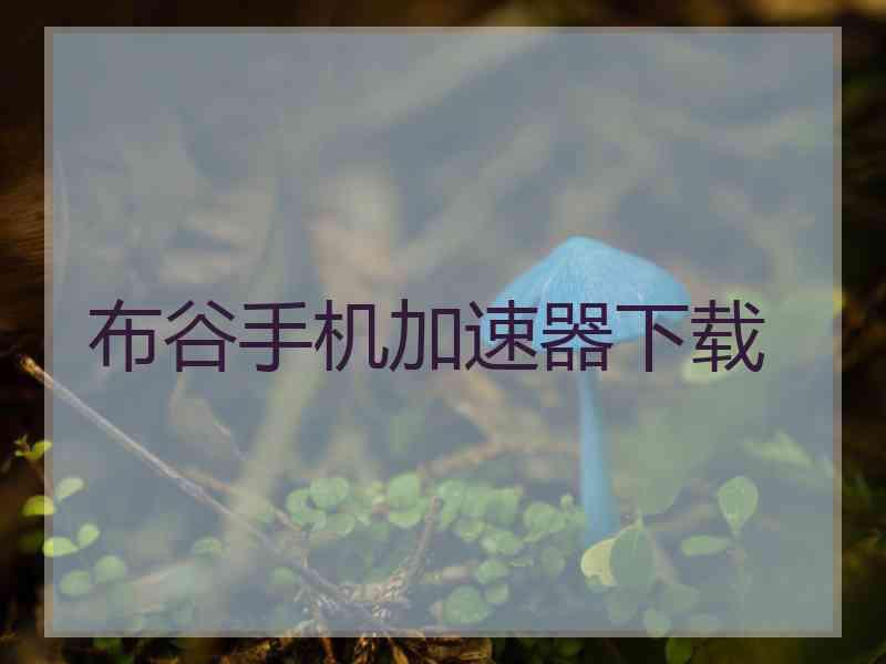 布谷手机加速器下载