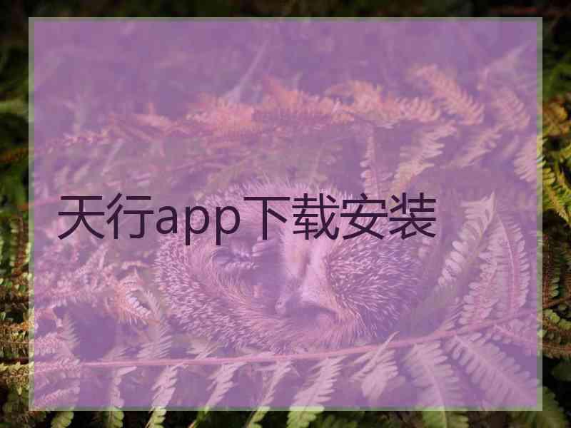 天行app下载安装