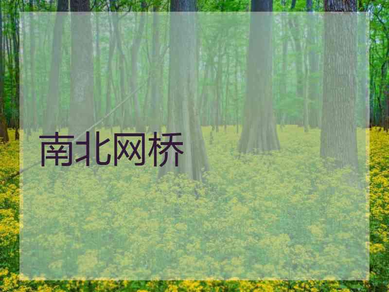 南北网桥