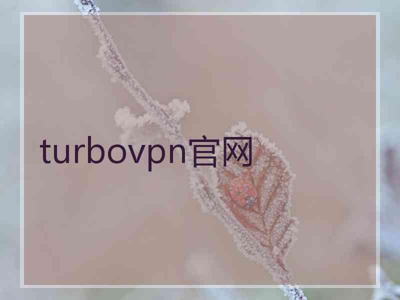 turbovpn官网