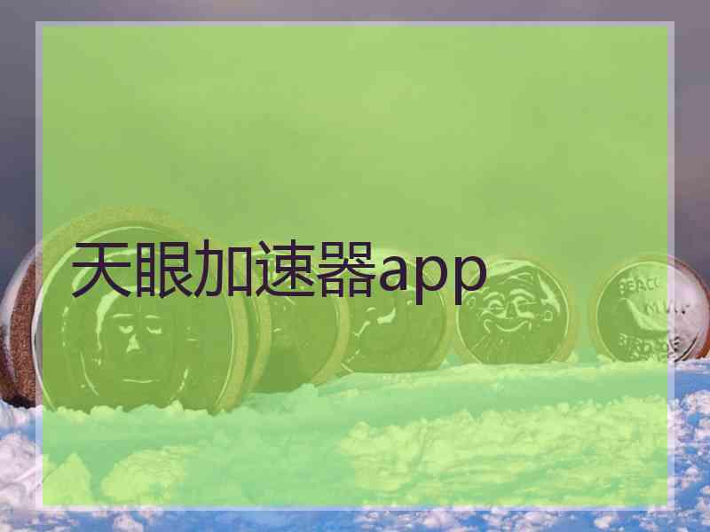 天眼加速器app