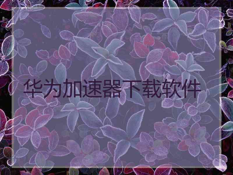 华为加速器下载软件