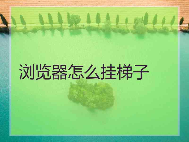 浏览器怎么挂梯子