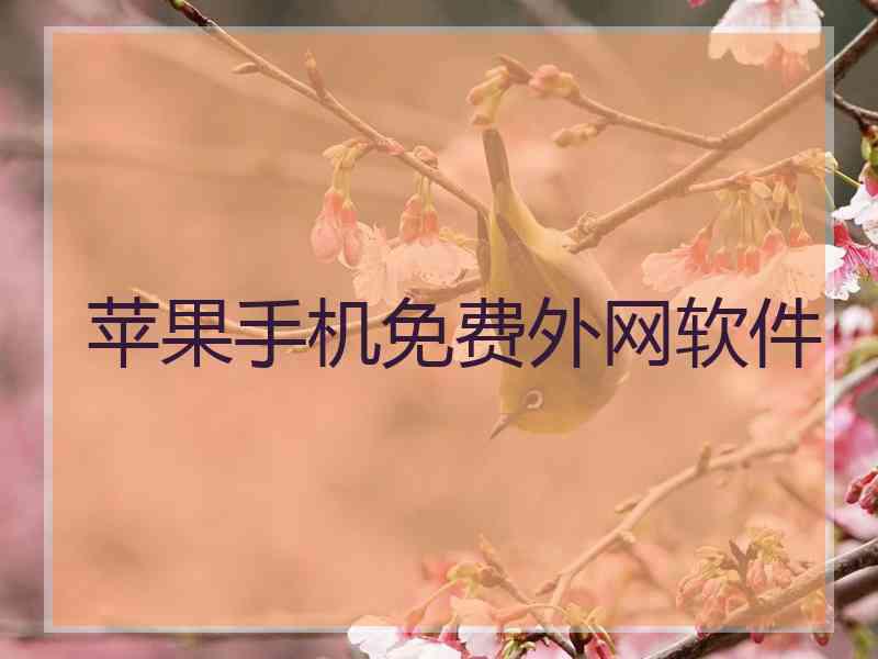 苹果手机免费外网软件