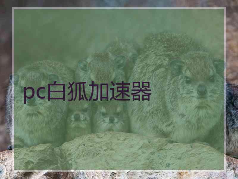 pc白狐加速器
