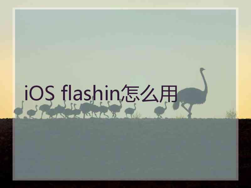iOS flashin怎么用