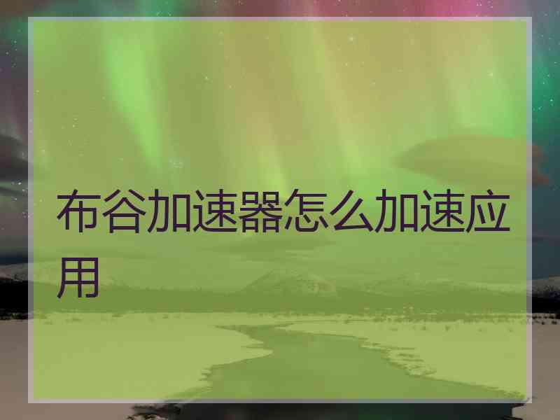 布谷加速器怎么加速应用