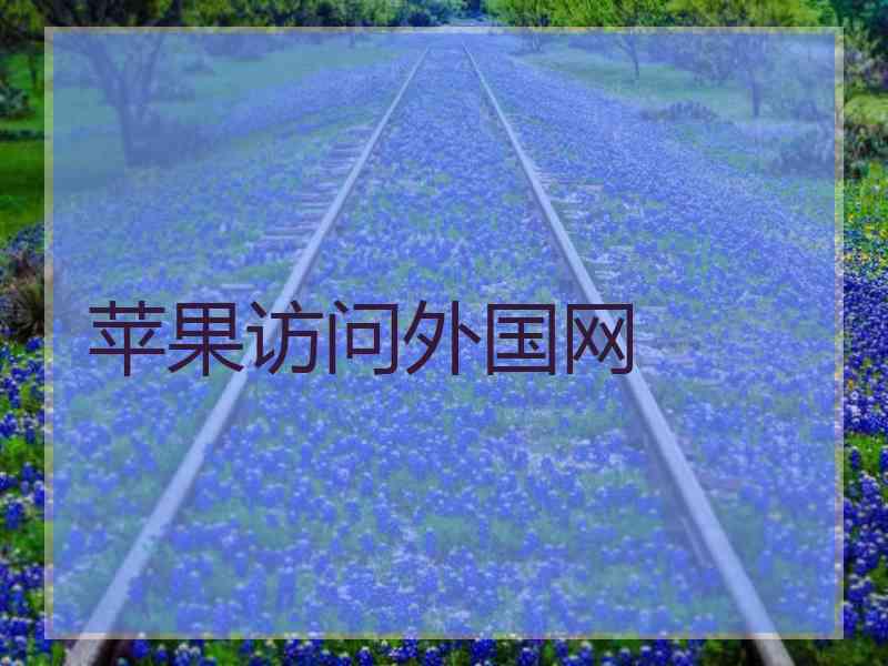 苹果访问外国网