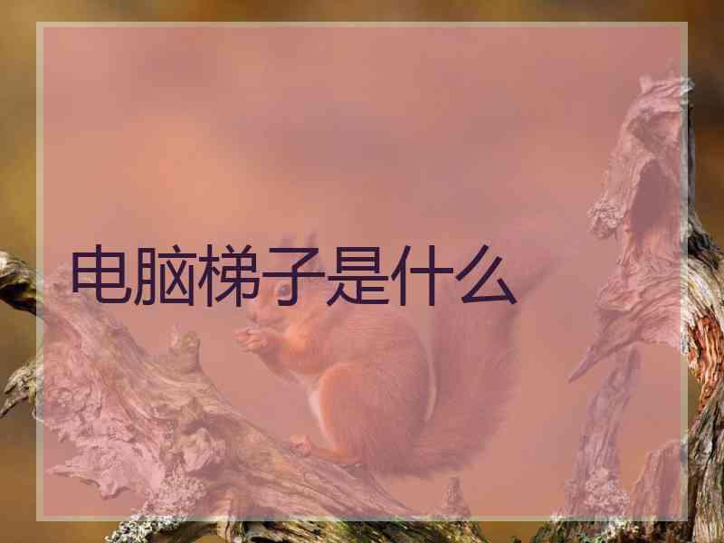 电脑梯子是什么