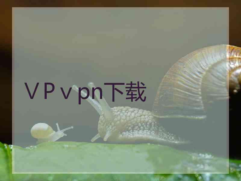 ⅤPⅴpn下载