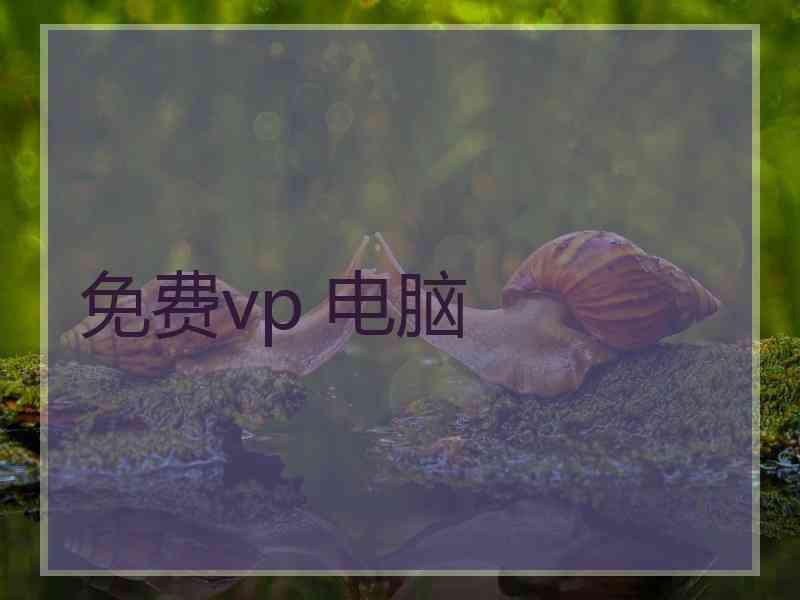 免费vp 电脑