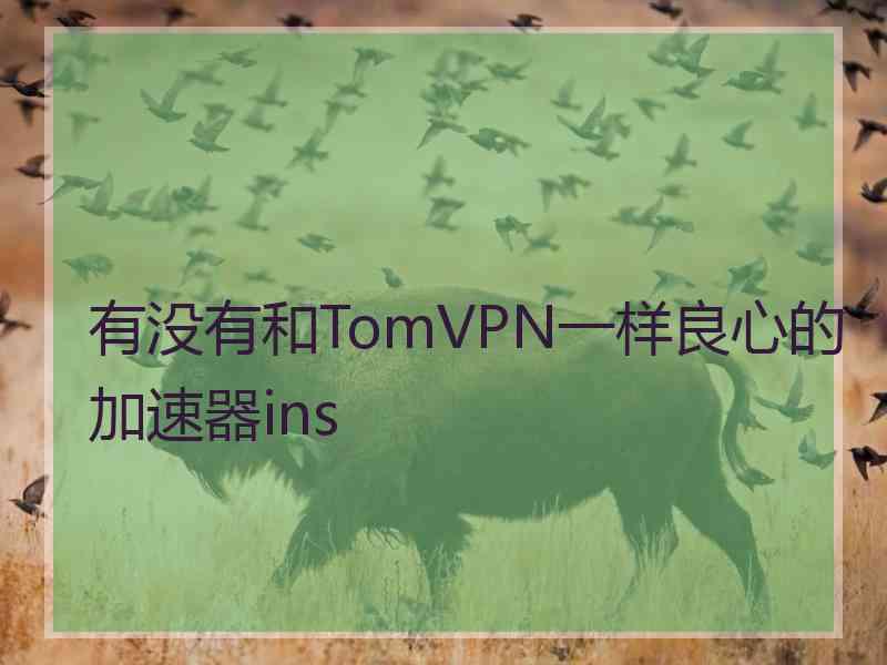 有没有和TomVPN一样良心的加速器ins