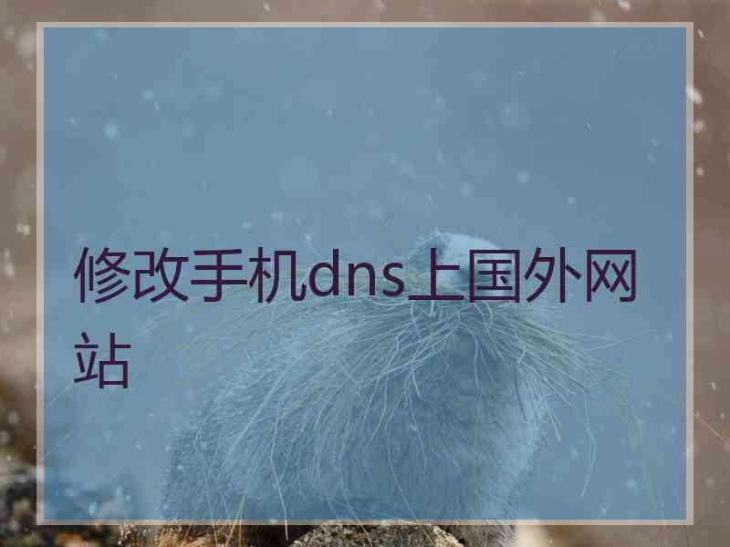修改手机dns上国外网站
