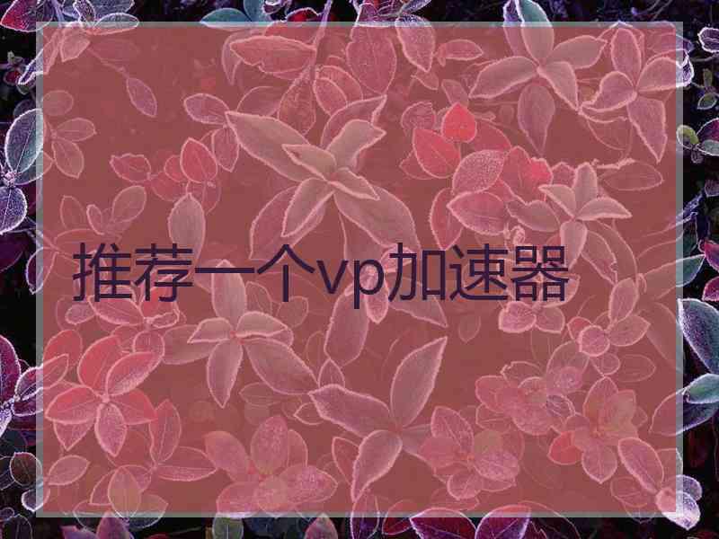 推荐一个vp加速器