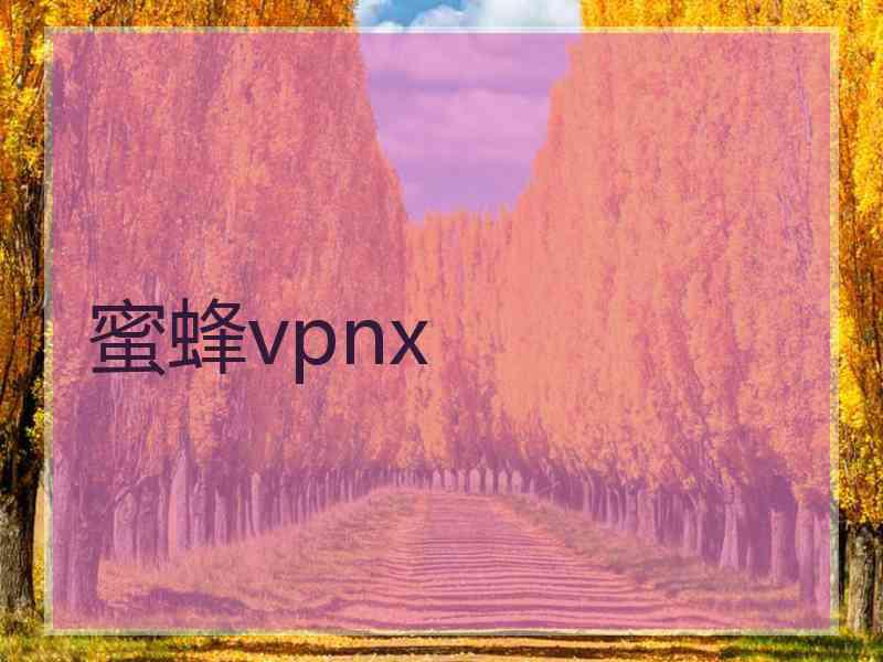 蜜蜂vpnx