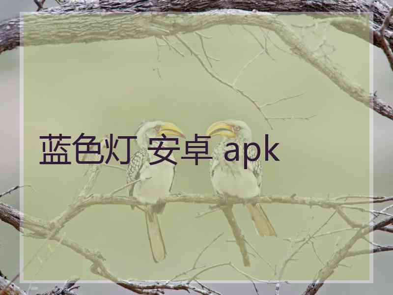 蓝色灯 安卓 apk