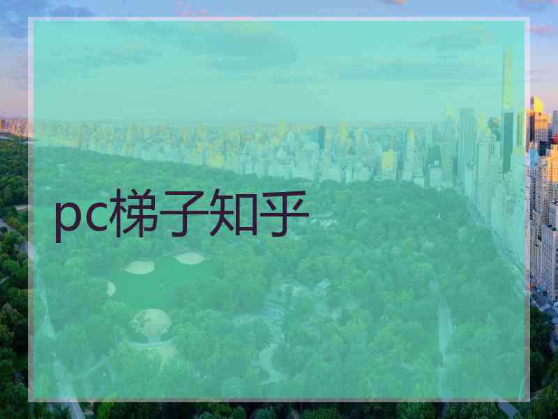 pc梯子知乎