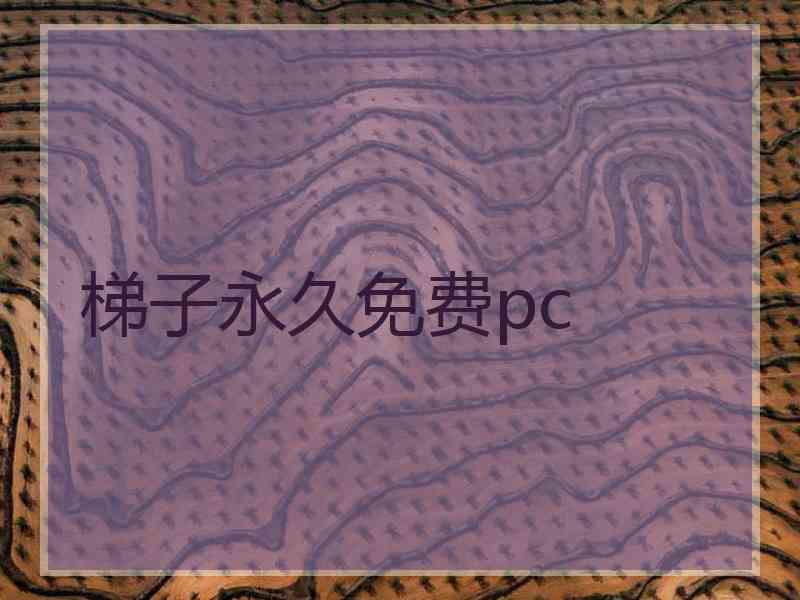 梯子永久免费pc