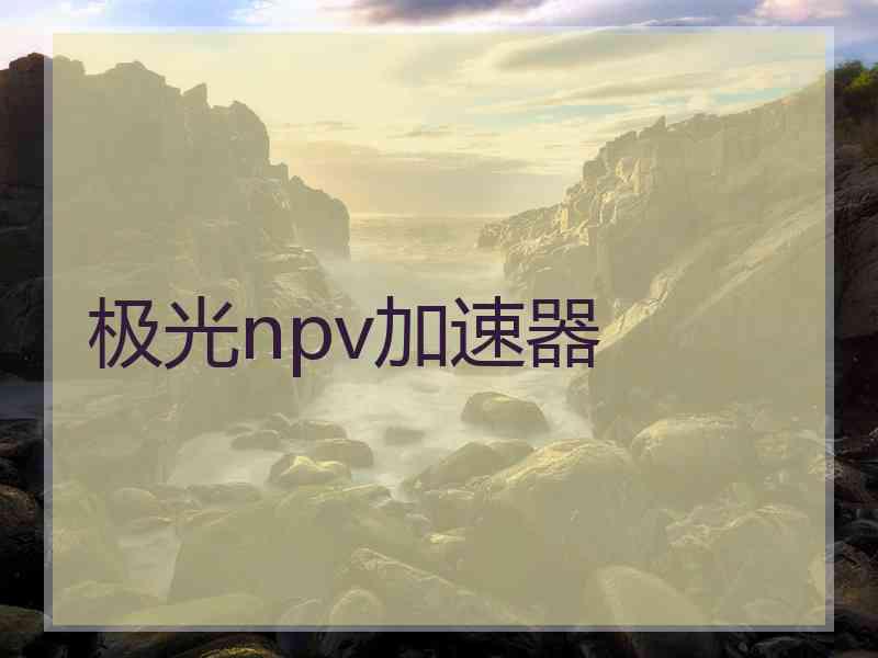 极光npv加速器